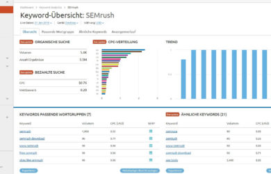 SEMrush SEO Tool Keyword Übersicht