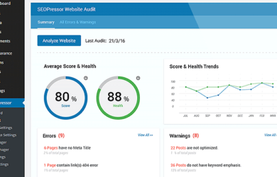Das Dashboard des SEOPressor Plugins um das WordPress Google Ranking zu steigern.