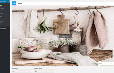 Die Bedienung des WP Quiz Plugins ist kinderleicht.