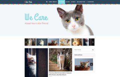 Die besten WordPress-Blog-Themes im Überblick.