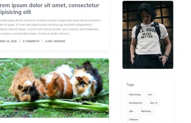 Eine weitere Demo von MyThemeShop Pets.